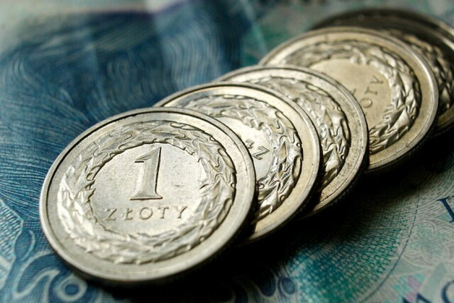 Złoty growth is the strongest in 14 years -  Rzeczpospolita