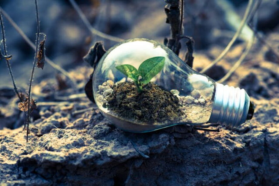 EY: Poland dropped to 18th place in attractiveness for renewables investments