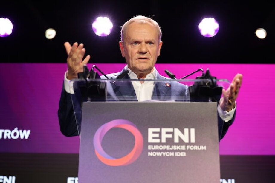 EFNI 2024 on the economy, Poland’s presidency, health, and culture