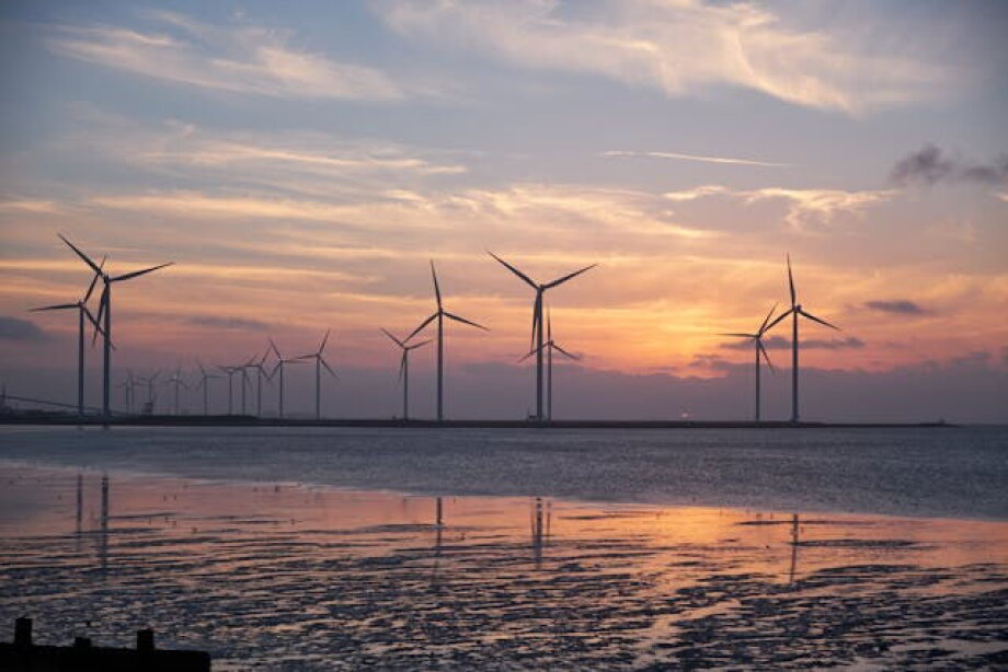 Prof. Buzek: wind energy development is crucial for EU and USA partnership