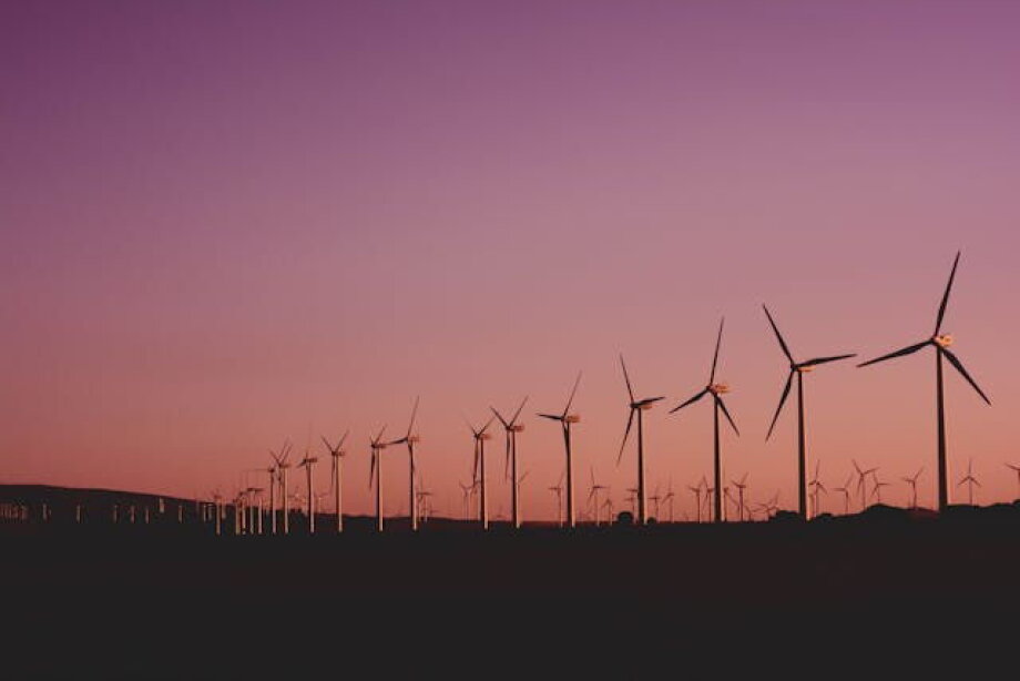 TotalEnergies launches second wind farm, Głochów II, with 20 MW capacity
