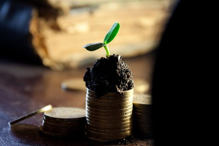 Merger of PZU and Pekao may ensure stable and predictable dividends