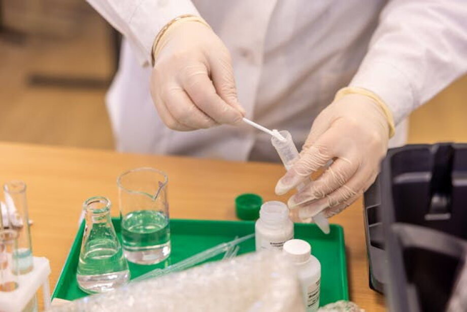 Hyundai seeking claims against Grupa Azoty over Polimery Police project for PLN 1.98 bln