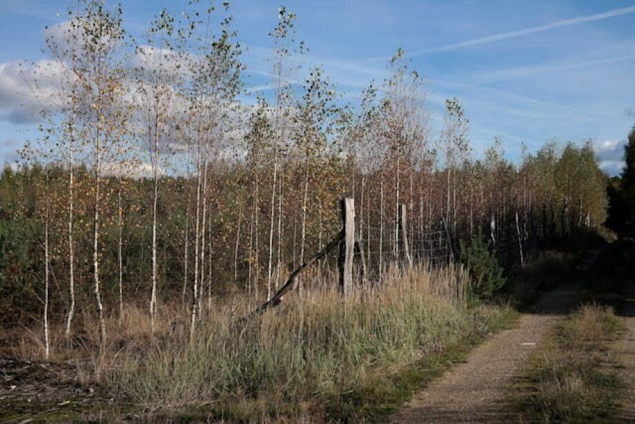 Polish land market entering phase of tension with shrinking supply