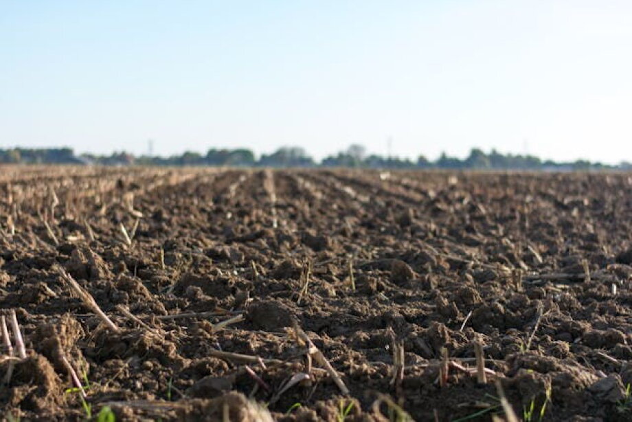 Polish government making demands on agricultural real estate that could terminate contracts