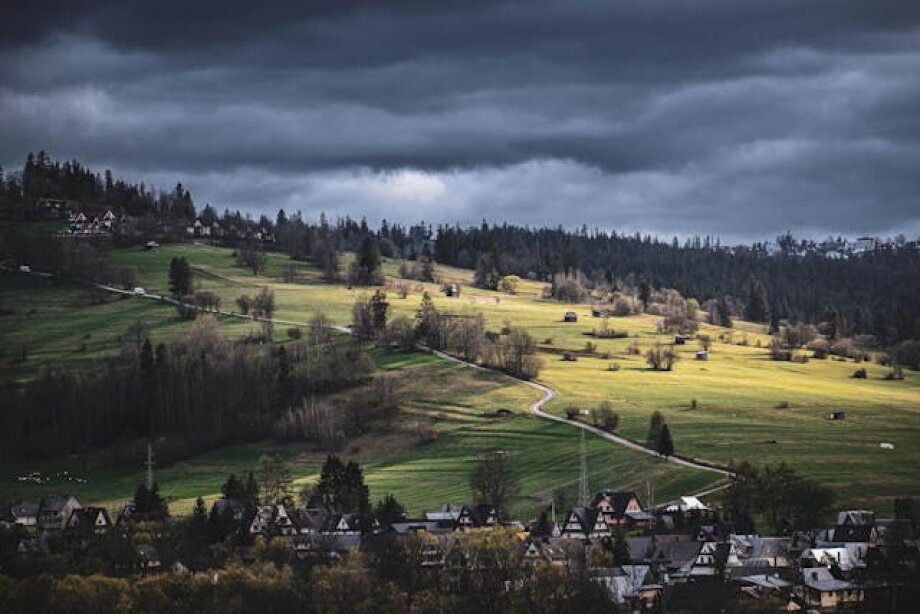 Quiet, green places with clean air more important than city center for Poles