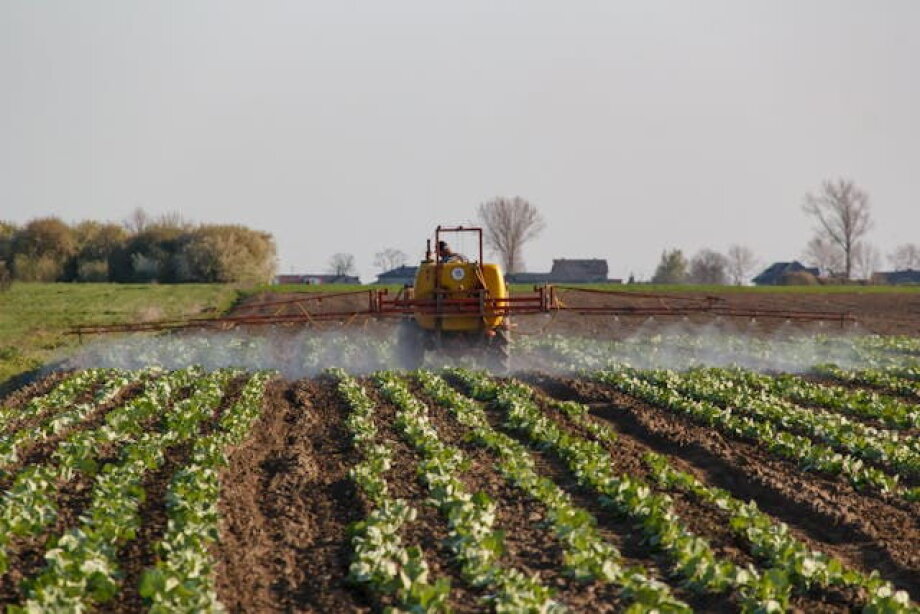 Expert: rising fertilizer prices forcing farmers to look for alternative methods