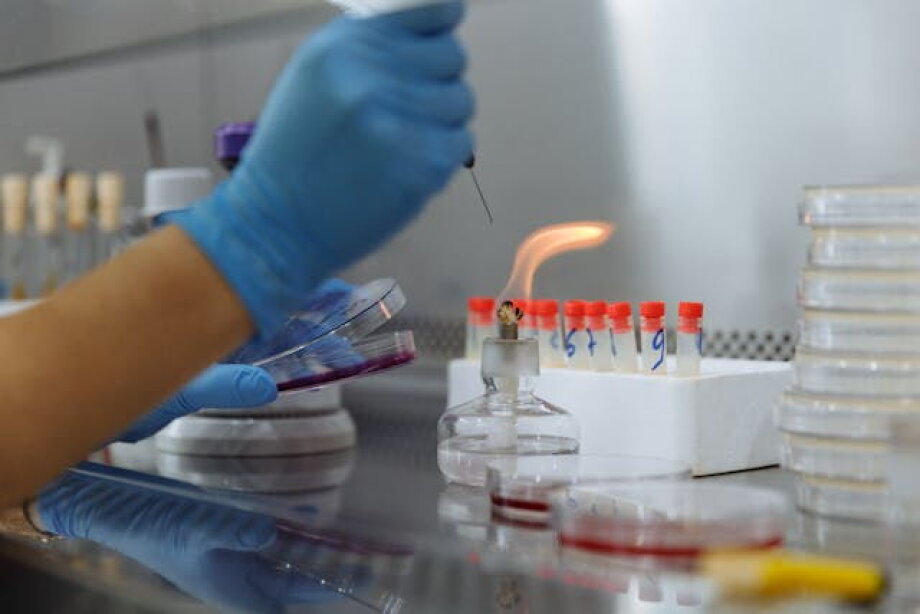 Torpolu will build hydrogen plant for Orlen for PLN 75 mln net
