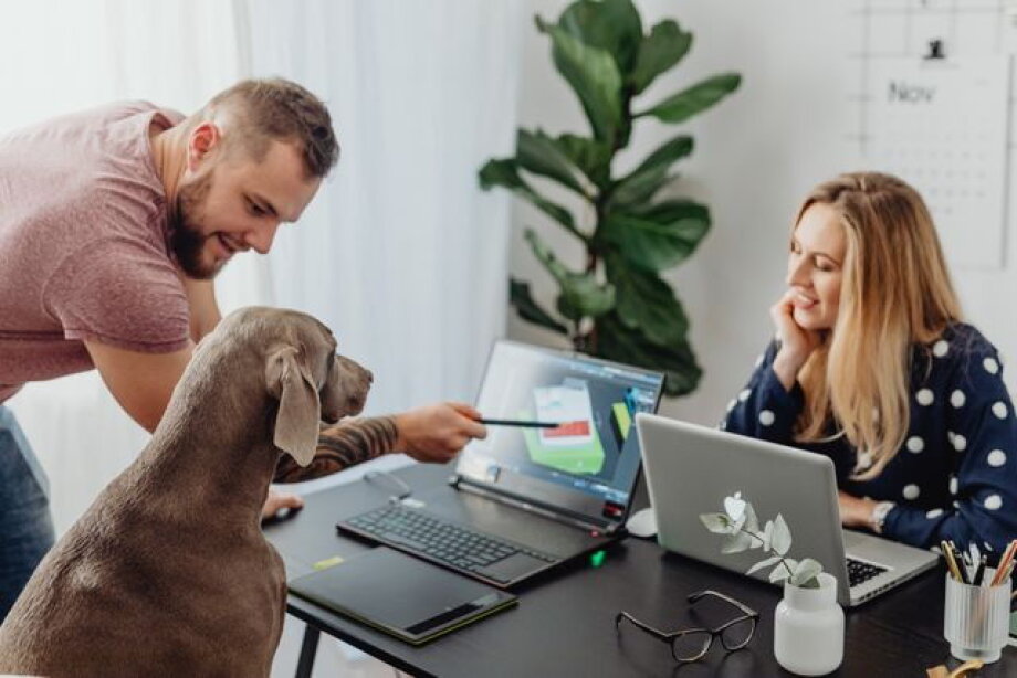 Survey: employees want pet-friendly offices, willing to change employers
