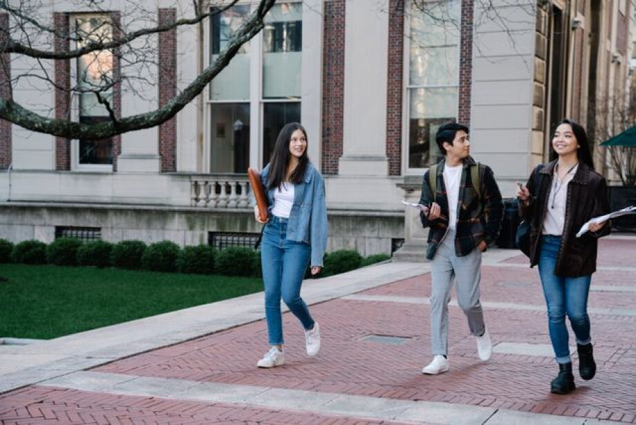 PwC: managers value ability to use AI more than MBA