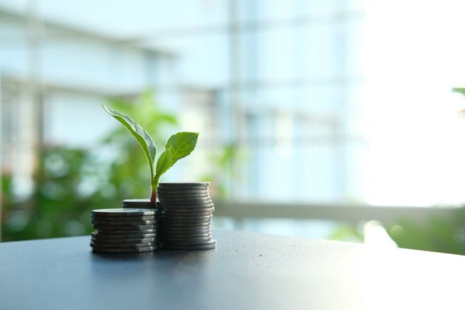 Andrzej Lis, fund manager at Rockbridge TFI, invests where the market is wrong