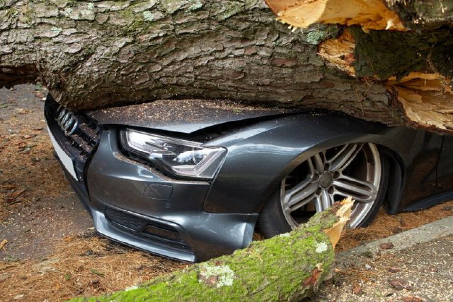 Slovak-Czech fund buys platform in Poland for trade in crashed cars
