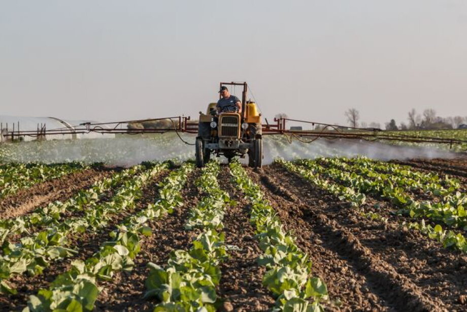 High gas prices hitting European fertilizer producers, including Poland