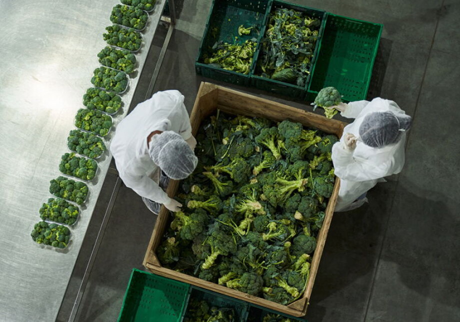 Gulf war, business continues