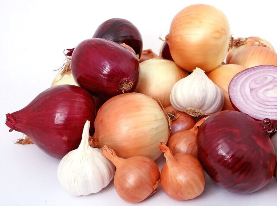 Export of Polish onion at the highest level in years