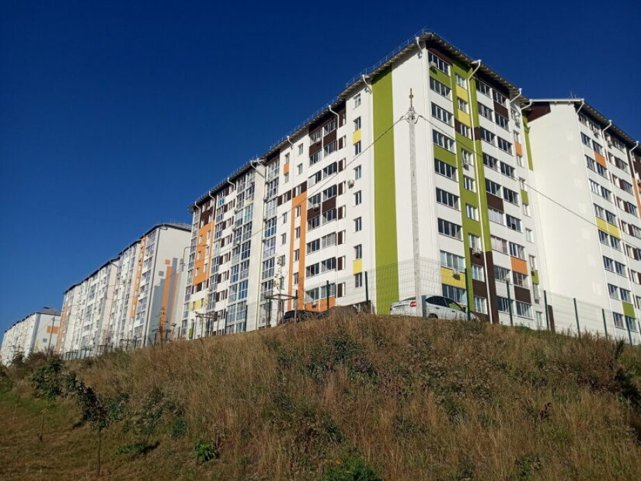 Rental market hits maturity