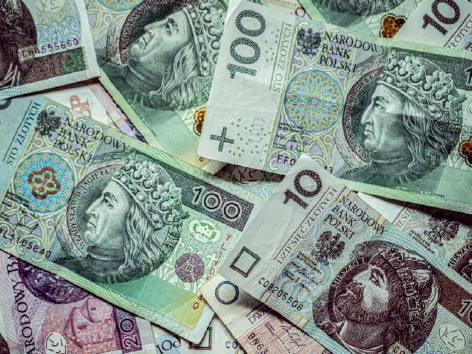 Polish Investment Zone dominated by Polish companies
