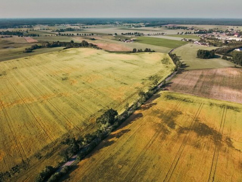 Land is running out, prices are rising