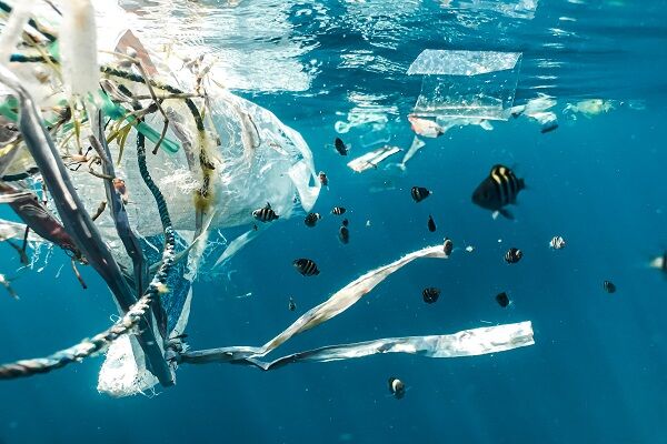 The Cost Of Plastic Pollution In The World Greater Than India's GDP: WWF